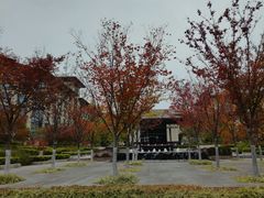 -太湖饭店·寄畅轩中餐厅