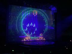 -水秀国际大剧院