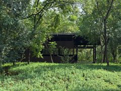 -盘龙城国家考古遗址公园