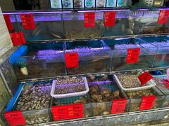 -金海湾海鲜排档(朱家尖店)