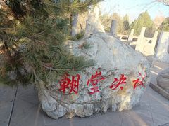 -大槐树寻根祭祖园