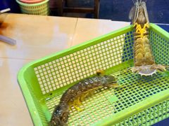 -两兄弟Song Pee Nong(2号店)