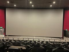 -SFC上影百联影城(八佰伴IMAX店)