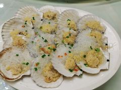 扇贝-渔民新村(番禺总店)