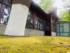 -莲湖公园