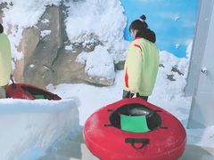 -世界之窗阿尔卑斯冰雪世界