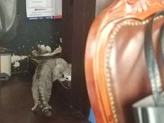 -不舍昼夜咖啡馆