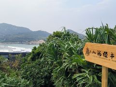 -东澳岛