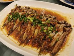 蒜蓉豆池蒸白鸽鱼-沙龙酒家
