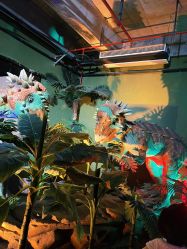 -恐龙探索乐园(磁器口店)