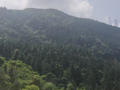 -杭州半山国家森林公园