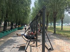 -北戴河集发农业梦想王国