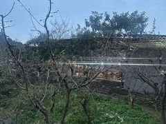 -桃源山庄·水蜜桃采摘·柴火鸡·烧烤团建(龙泉山店)