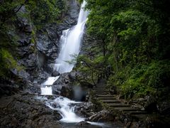 -姑婆山旅游区