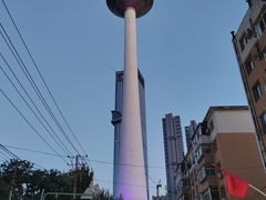-辽宁电视塔