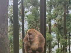 -太阳湾风景区