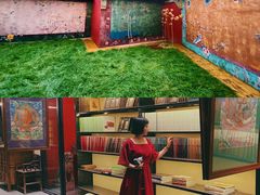 -五龙城郊森林公园