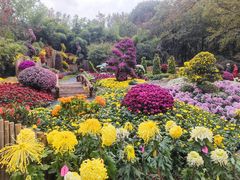 -杭州植物园