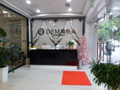 -DEM缔怡美科技美容