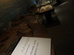 -烟台市博物馆