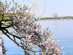 -无锡蠡湖国家湿地公园-蠡园