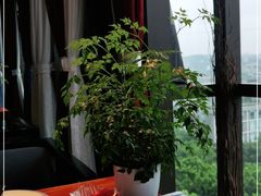 -蜀宴·家宴馆(升伟晶石店)