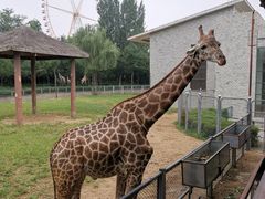 -石家庄市动物园