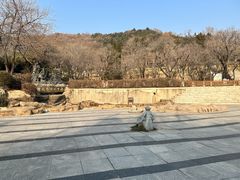 -石老人观光园