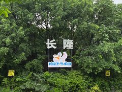 -广州长隆飞鸟乐园