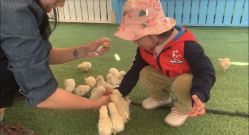 -萌宠亲子动物乐园(槐房万达店)