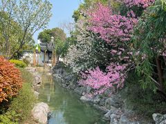 -阳澄湖半岛旅游度假区