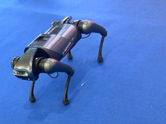 -上海汽车会展中心