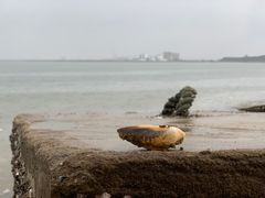 -万尾金滩