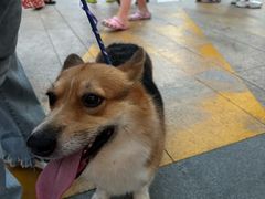 -观澜湖新城运动奥莱区