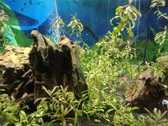 -梦幻海洋王国(吾悦广场张家港店)