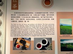 -中国茶叶博物馆(双峰馆区)