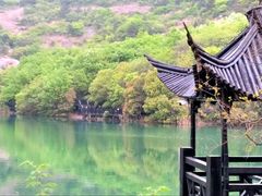 -白马涧龙池景区