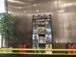 点击看大图 -崇尚GAVIN STYLE臻选