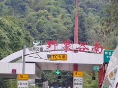 -野象谷景区