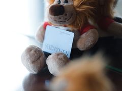 -深圳星河丽思卡尔顿酒店