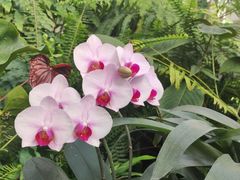 -国家植物园南园