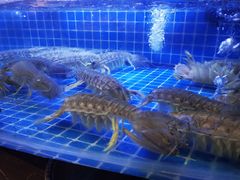 -驻海渔市(置信店)