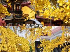 -花开海上生态园