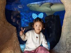 -横店影视城梦幻谷园区