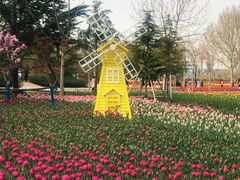 -廊坊文化艺术中心