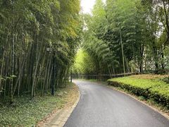 -苏州环秀晓筑养生度假村