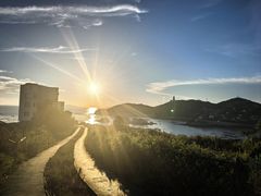 -枸杞岛
