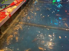 -钳真多钓虾馆·小龙虾海鲜烧烤(九六广场店)
