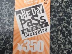 -金吉鸟健身游泳