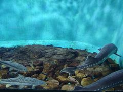 -太平洋海底世界